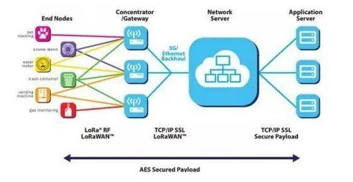 航順芯片 醫(yī)療芯片出貨領(lǐng)跑，物聯(lián)網(wǎng)賽道聚焦智慧計量新藍海